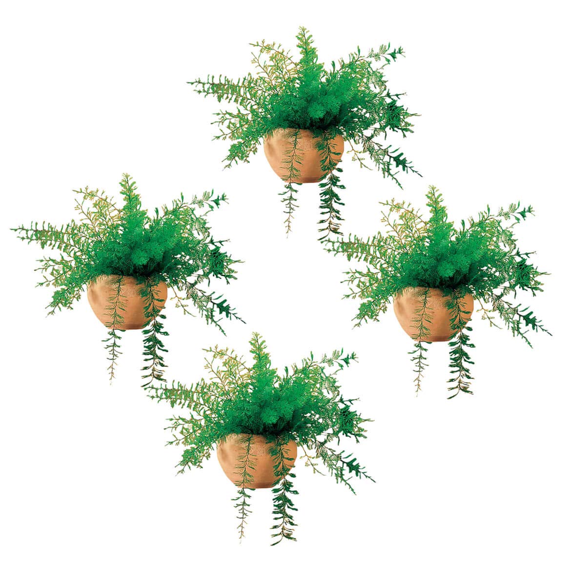 Miles Kimball Air Fern Set