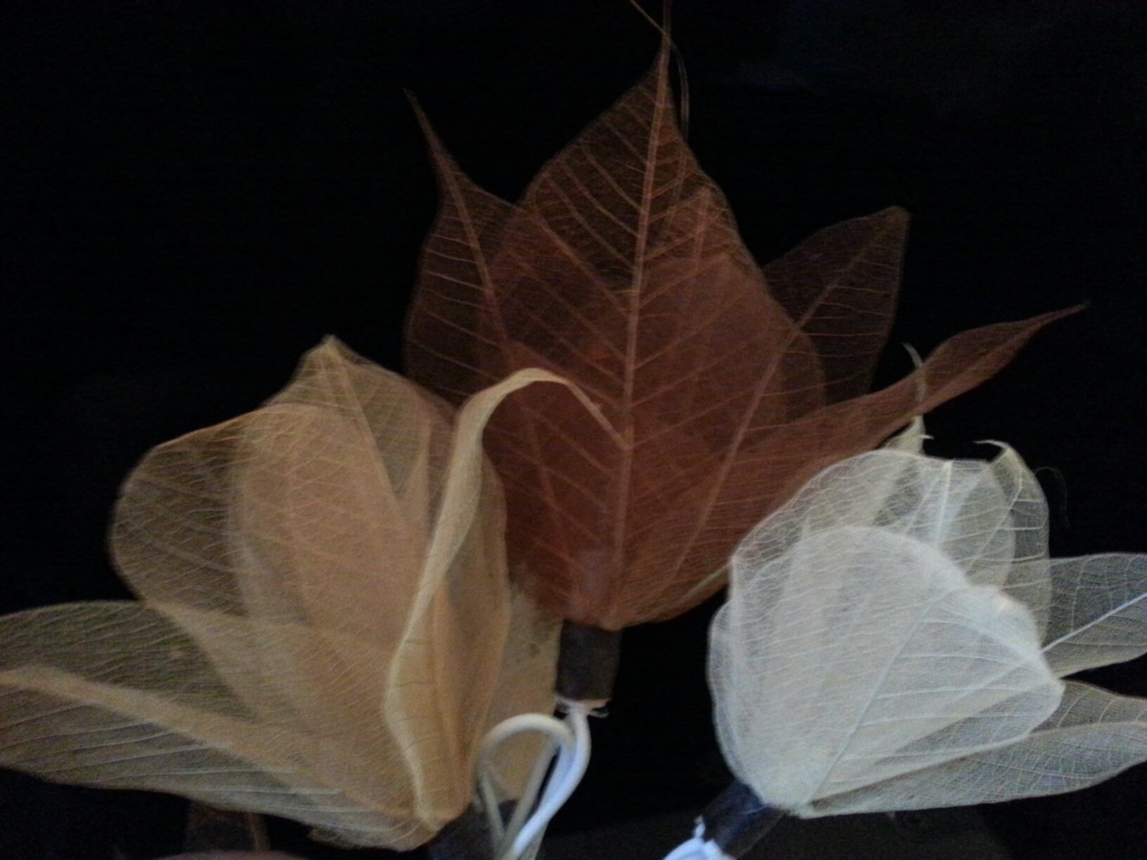 Leaf Fairy Lights, 20 String, Brown Cream Mix - Natural Flowers. Wedding/Indoor Lights, UK Seller