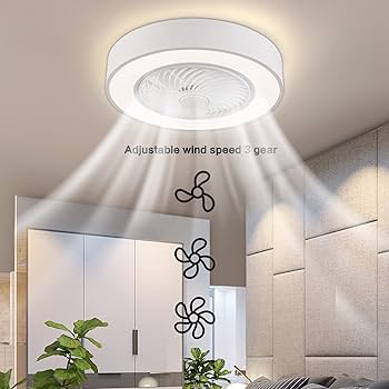 XUANIIIL 22 inch Enclosed Ceiling Fans with Lights Remote