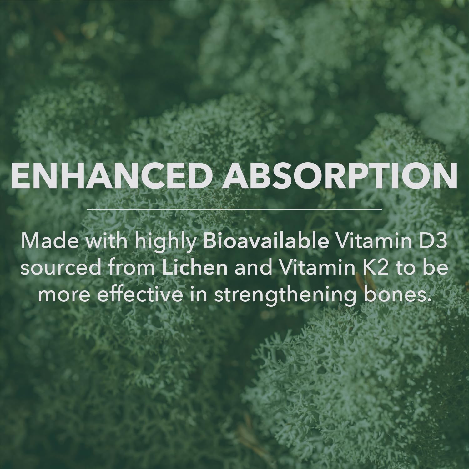 PlantFusion Organic Vegan Vitamin D3 + K2 5,000 IU, 50MCG – Vitamin D Sourced from Plant Based Lichen and Vitamin K2, for Immune Support and Bone Health - 60 Capsules — Amazon image 5