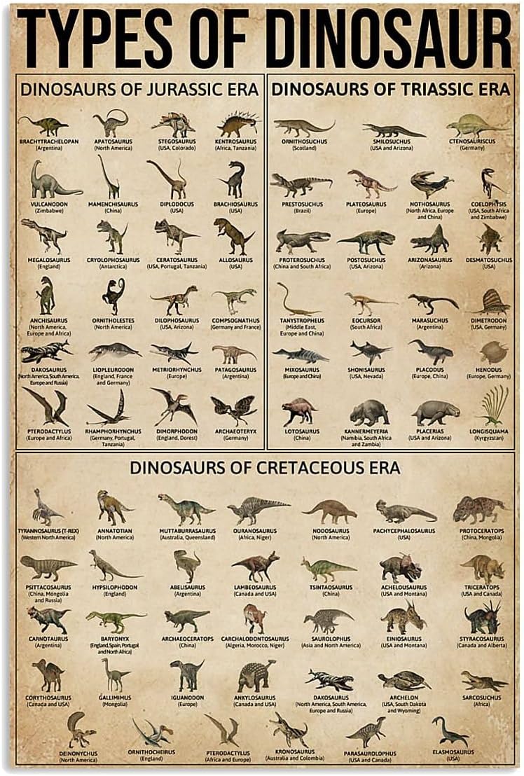 YYN Types Of Dinosaur Poster Dinosaurs Poster Knowledge Poster Dinosaurs Art Print