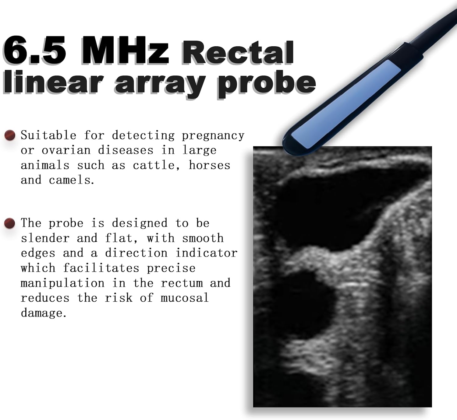 1pcs 6.5MHz Rectal Linear Array Probe for T1 Machine, Detection Depth 1.9-4.7 inches, Suitable for Detecting Cattle, Horses and Other Livestock(Not Applicable to T1-M)
