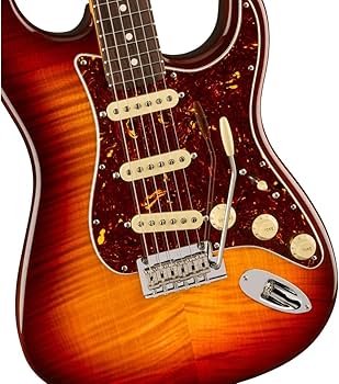 Amazon.com: Fender 70th-Anniversary American Professional II
