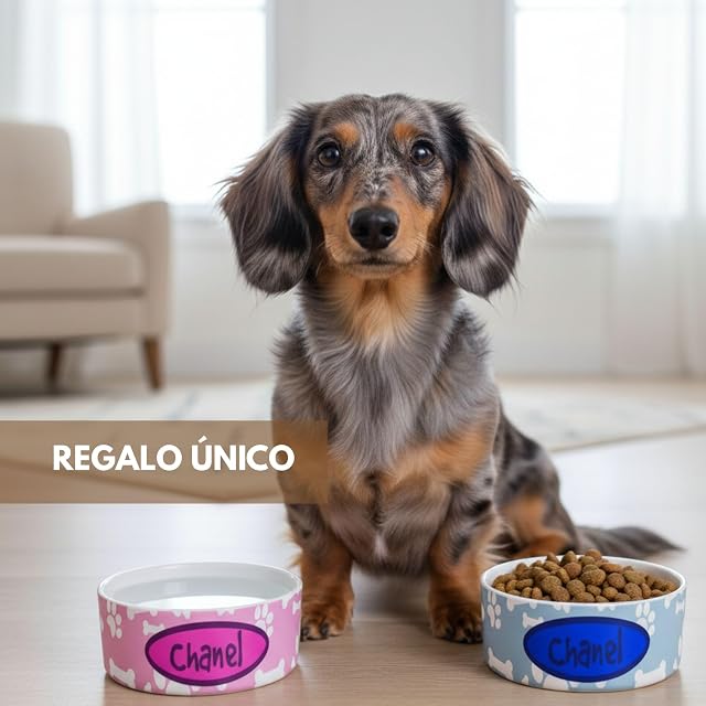 Foto 7 de 7 de Comedero Gato. Bebedero Gatos con Nombre. Personalizado. Comedero Gato Cerámica. Volumen 1100ml. Huellas…