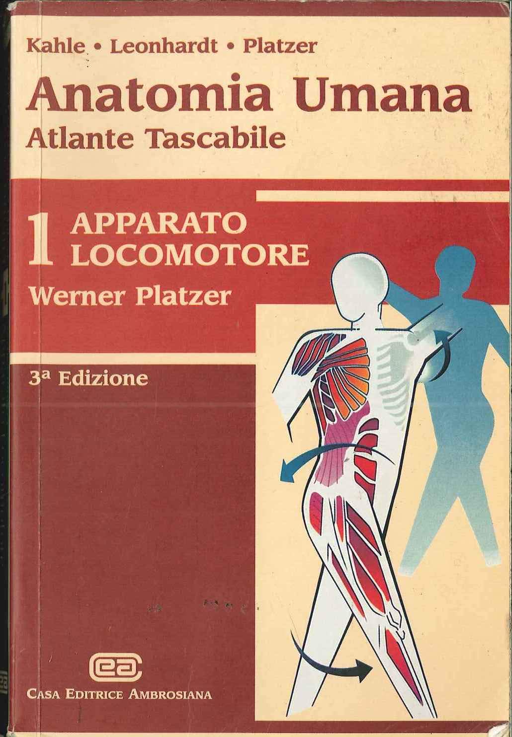 Anatomia umana. Apparato locomotore (Vol. 1)