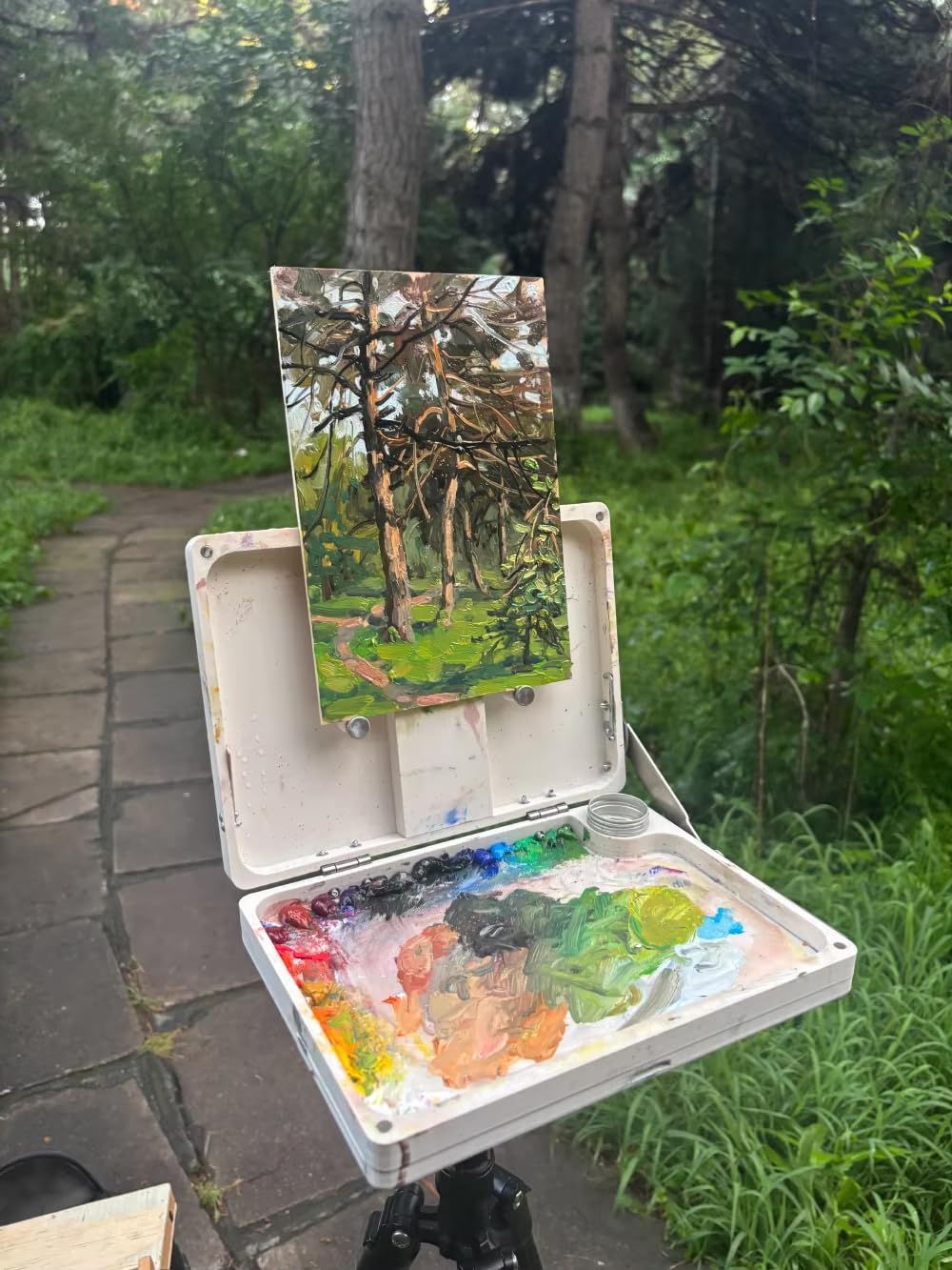 Caja de Bocetos para Pintura al Óleo, Caballete de Escritorio Plegable, con Recipiente para Óleo Incorporado, Abrazadera para Lienzos de hasta 50 CM