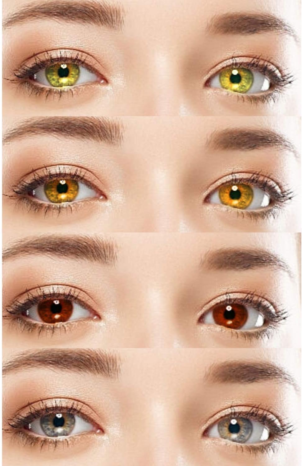 Glance Gallaxy 4 Pair Monthly Colored Hazel Honey Brown Grey Contact Lenses for Eye Men and Women with 1 Lens Storage Box