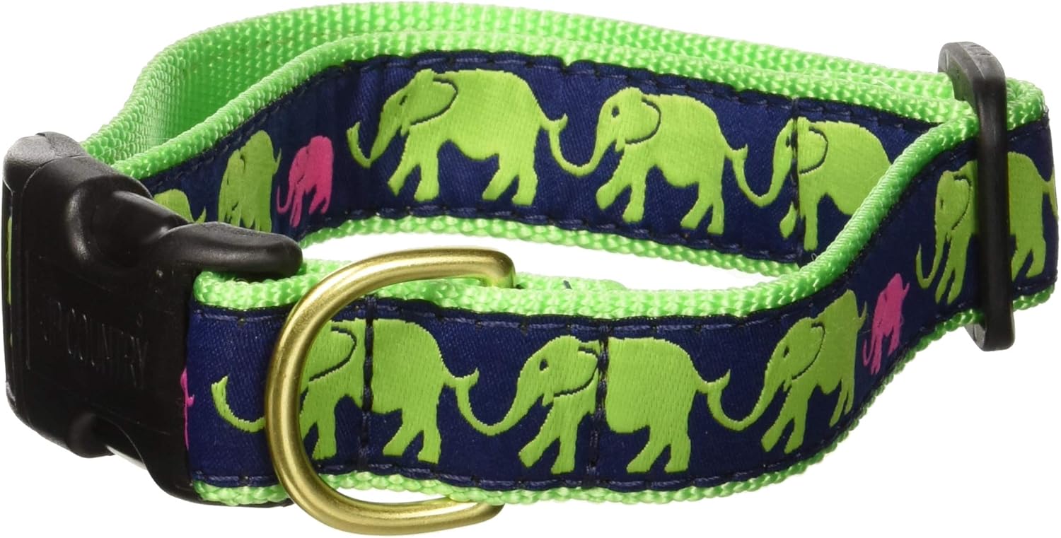 Animal World Leader of The Pach Dog Collar Width 1 "