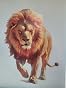 RoyoLam Cool Walking Lion Wall Decal - Removable Peel & Stick Animal Wall Art For Kids Room, Nursery - View #6