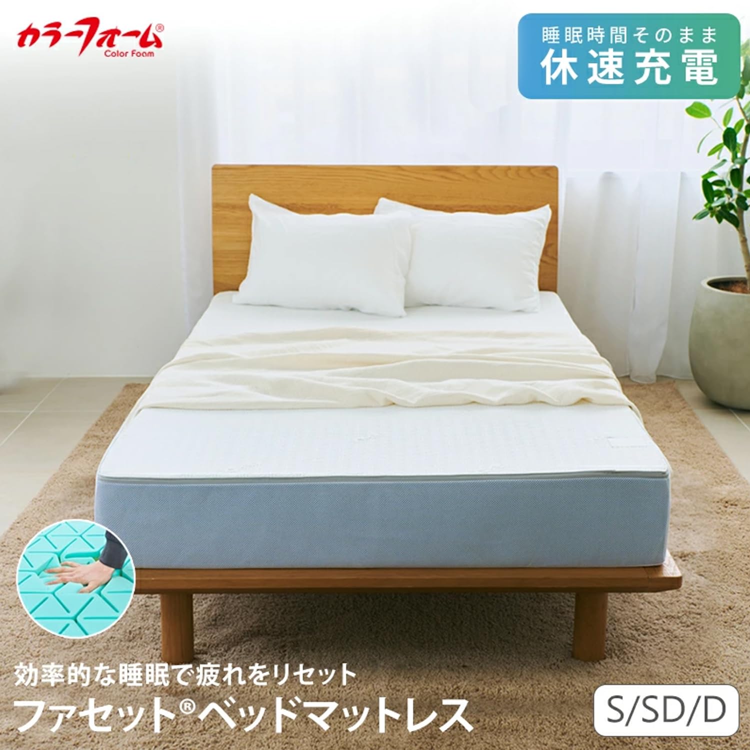 Amazon.co.jp: カラーフォーム (Color Foam)