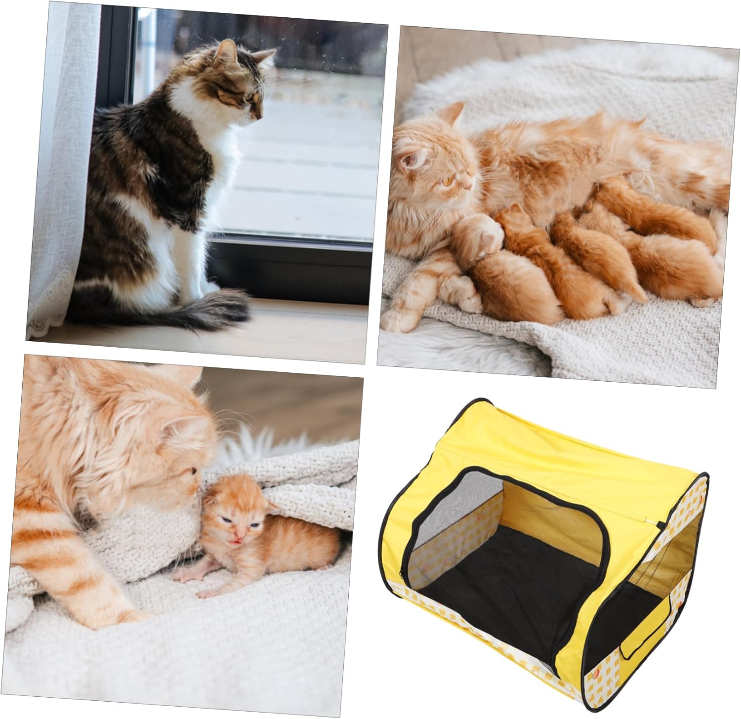 POPETPOP Cat Playpen Cat Tent Pet Hut Tent Wear-Resistant Pet Supplies Adorable
