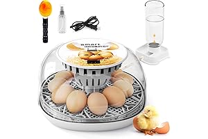 Automatic Egg Incubator for Hatching Chicks, Holds 12 Eggs