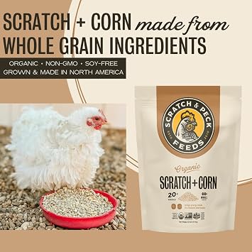 Scratch and Peck Feeds | Scratch + Corn for Chickens & Ducks | 10 lb Pouch