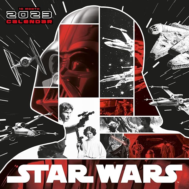 Star Wars (Adult) Calendar 2023 - Month to a View Planner 30cm x 30cm - Official Merchandise