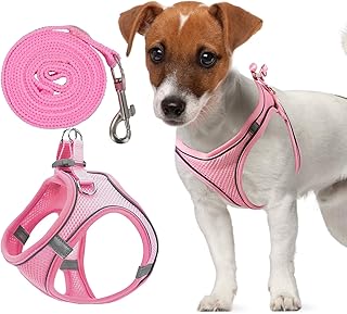 Verstellbares Katzengeschirr, Air-Mesh Atmungsaktiv Brustgeschirr mit1,5m Leine, Weich Gepolstert Hunde Geschirr, Katzenleine Kitten mit Reflektierenden Streifen, Katzen Weste (Rosa, S) product image