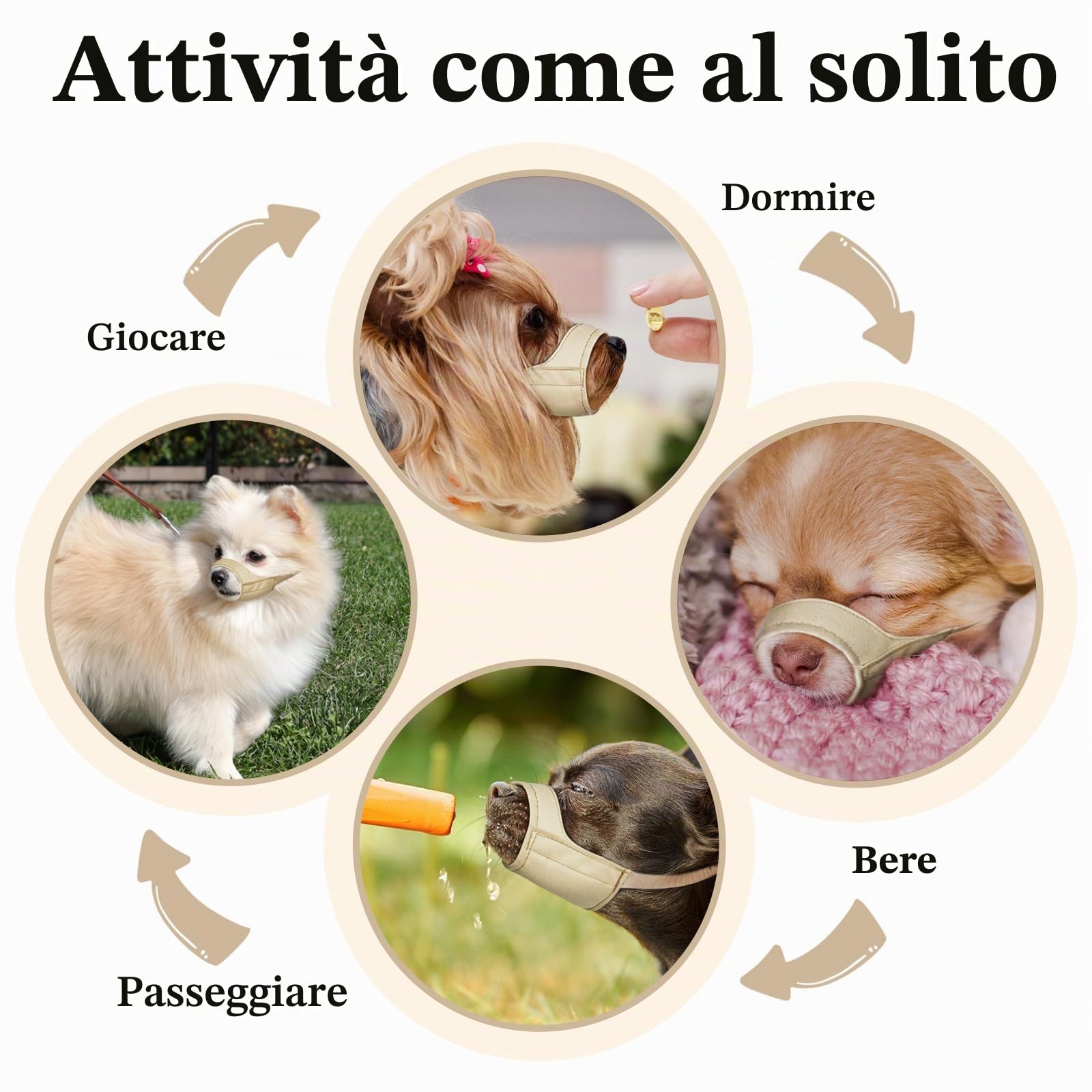 Mayerzon Museruola a museruola corta per Chihuahua, Shih tzu, pugile americano, museruola in tessuto morbido per la toelettatura di visite veterinarie, previene morsi e combattimenti