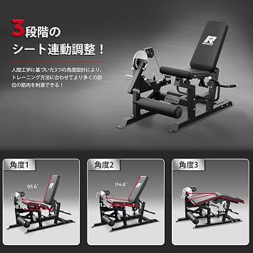 RITFIT Leg Extension Machine, Leg Curling Machine, Training Bench, Flat Bench, Lower Body Strengthening, Core Training, 12 + 4 Angle Adjustable, Total Load Capacity 60.6 lbs 320 kg, Home Gym, Home
