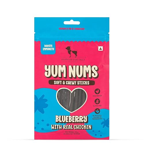 Yum Nums by HUFT Soft & Chewy Sticks - Blueberry & Chicken - 70gm | Dog Treats for Puppies & Adults | Training Treats | Healthy Dog Snacks | Puppy Treats for Small Dogs