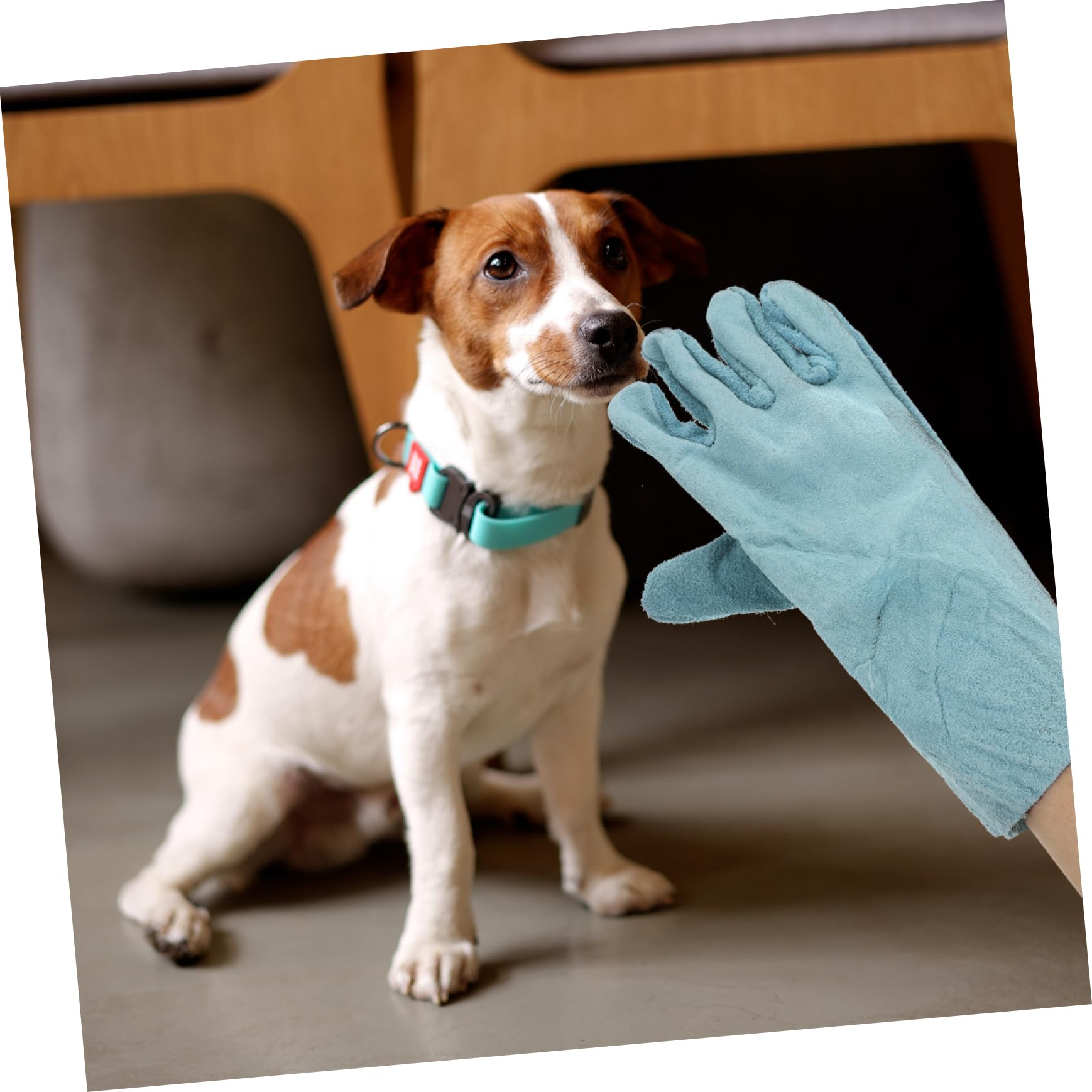 Kisangel 2paare Pet Handschutz-handschuhe Für Hundetraining Bissfeste Langlebige Tierhandschuhe Für Sicheres Handling Von Haustieren Für Katzen Und 