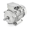 Electric Motor 1.1 kW 2800 rpm 3-Phase 230/400 V Three-Phase Motor MOLL-MOTOR Energy Saving Motor Foot Mounting B3 Asynchronous Motor High Efficiency Industrial Electric Motors Three Phase for