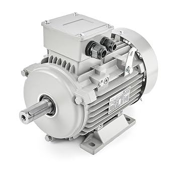 Electric Motor 0.75 kW 2800 rpm 3-Phase 230/400 V Three-Phase Motor MOLL-MOTOR Energy Saving Motor Foot Mounting B3 Asynchronous Motor High Efficiency Industrial Electric Motors Three Phase for Compressor Pump