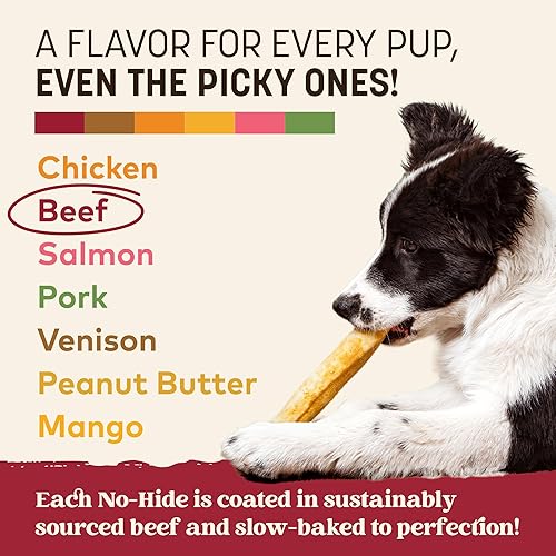 Miniatura 55 de Earth Animal No Hide - Palitos masticables para perros con sabor a mantequilla de maní medio, sin cuero crudo, de larga duración, golosinas