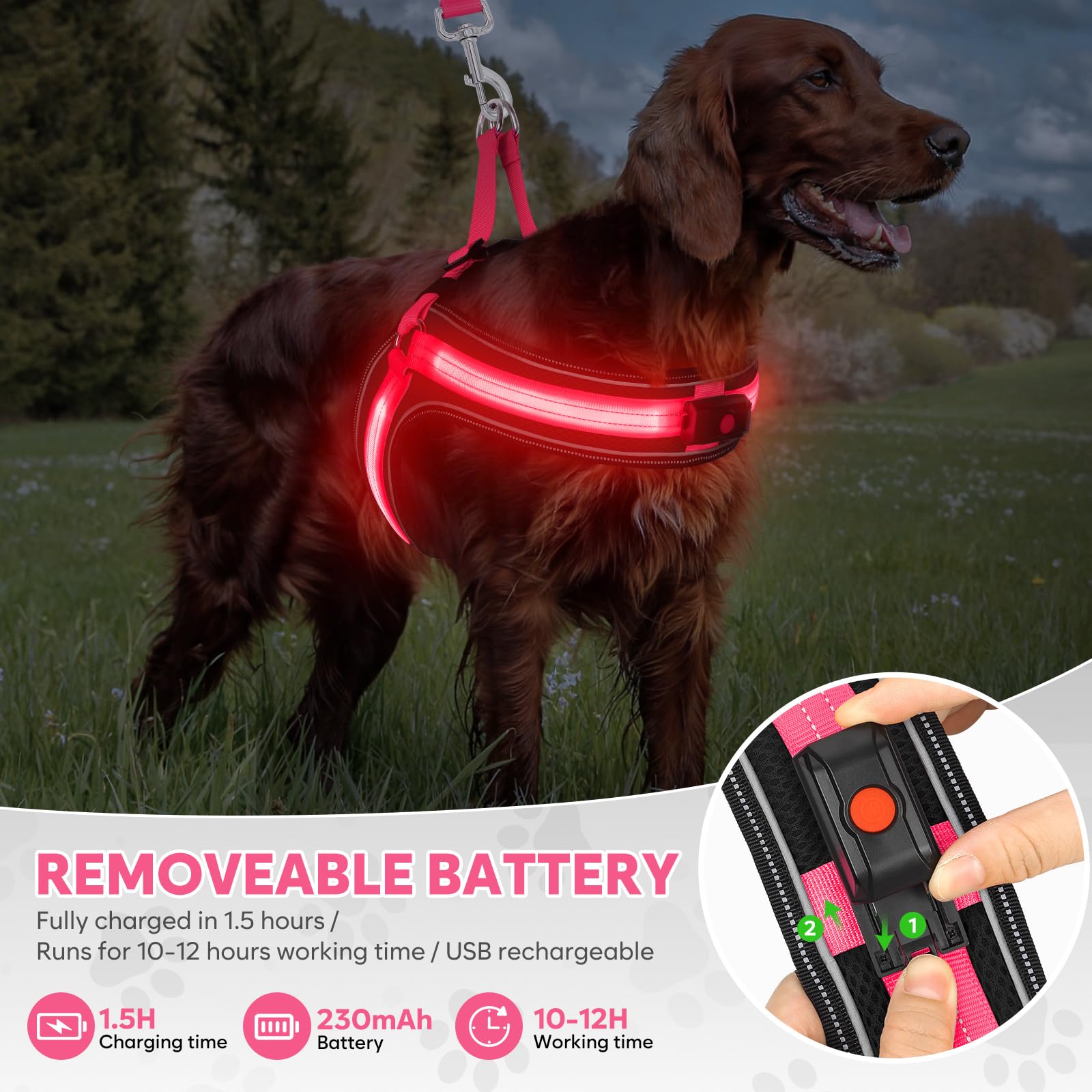 BiPawTi Light Up Dog Harness for Medium Dogs LED Light 3 Flashing Modes Glow in the Dark, USB Rechargeable Safety Pet Vest - Image 4