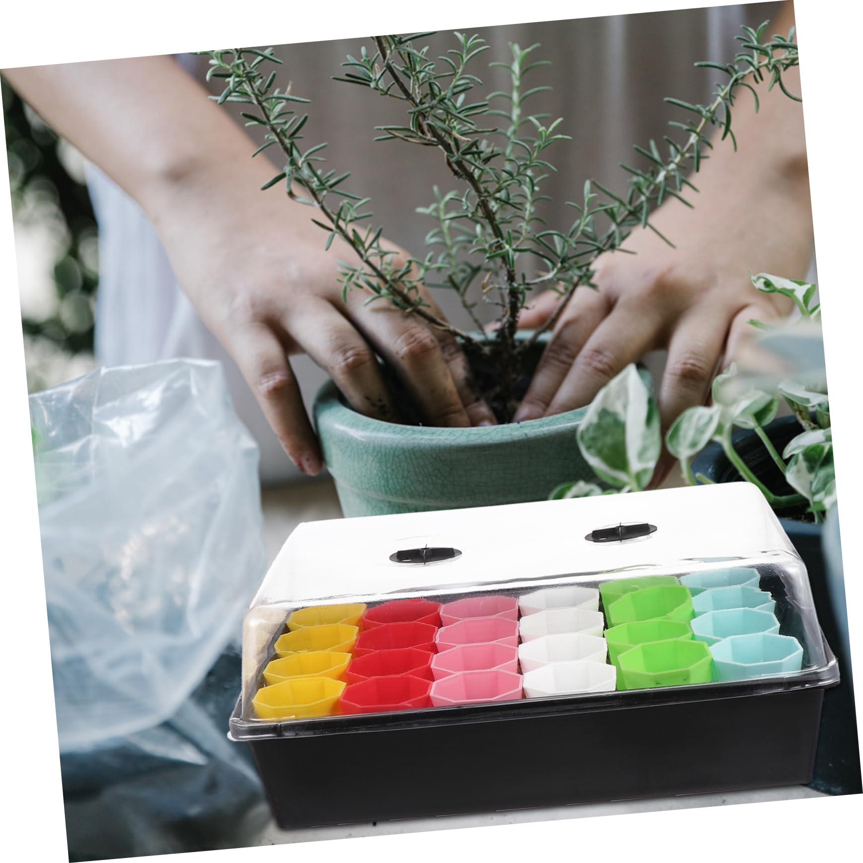 Combinación De Macetas para Plántulas Bandeja De Bandeja De Propagación Kit De para Interior De Propagación para Plantas