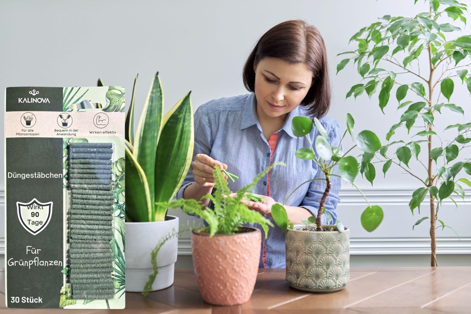 Düngestäbchen für Grünpflanzen – 300 Stück – Langzeitdünger für Monstera, Ficus, Palmen & mehr – 90 Tage Wirkung – Für kräftige, sattgrüne Blätter KALINOVA