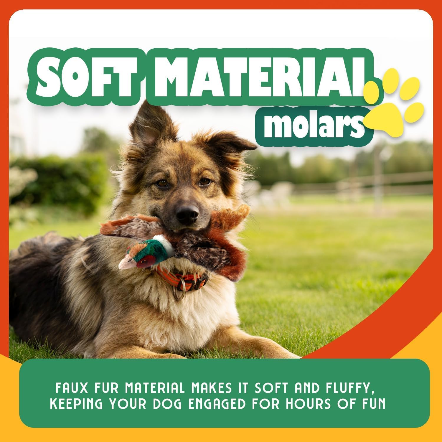 All For Paws Perro Juguete con Squeaker