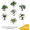 Product Photo 3