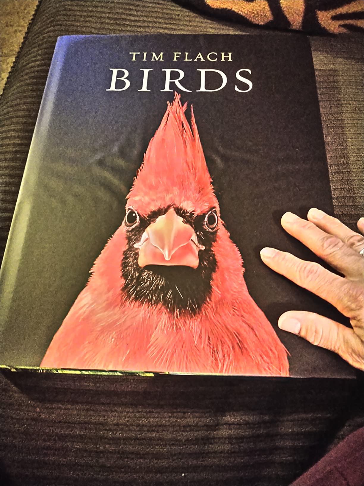 Absolutely exquisite!!