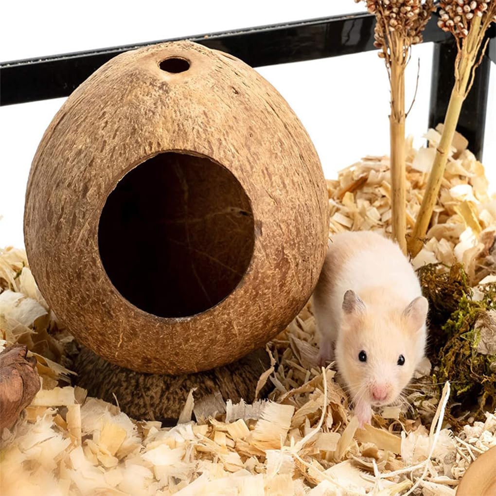 5er-Set Kokosnuss-Hamsterhaus – einzigartiges Haustier-Hamsterhaus, pflegeleicht, pflegeleicht, ideal für kleine Räume
