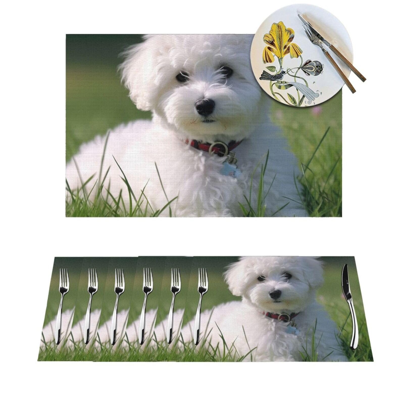 Set de table thermorésistant motif bichon lot de 6 tapis lavables 45x30cm