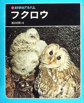 Amazon.co.jp: 科学のアルバム〈64〉フクロウ (1979年) : 福田