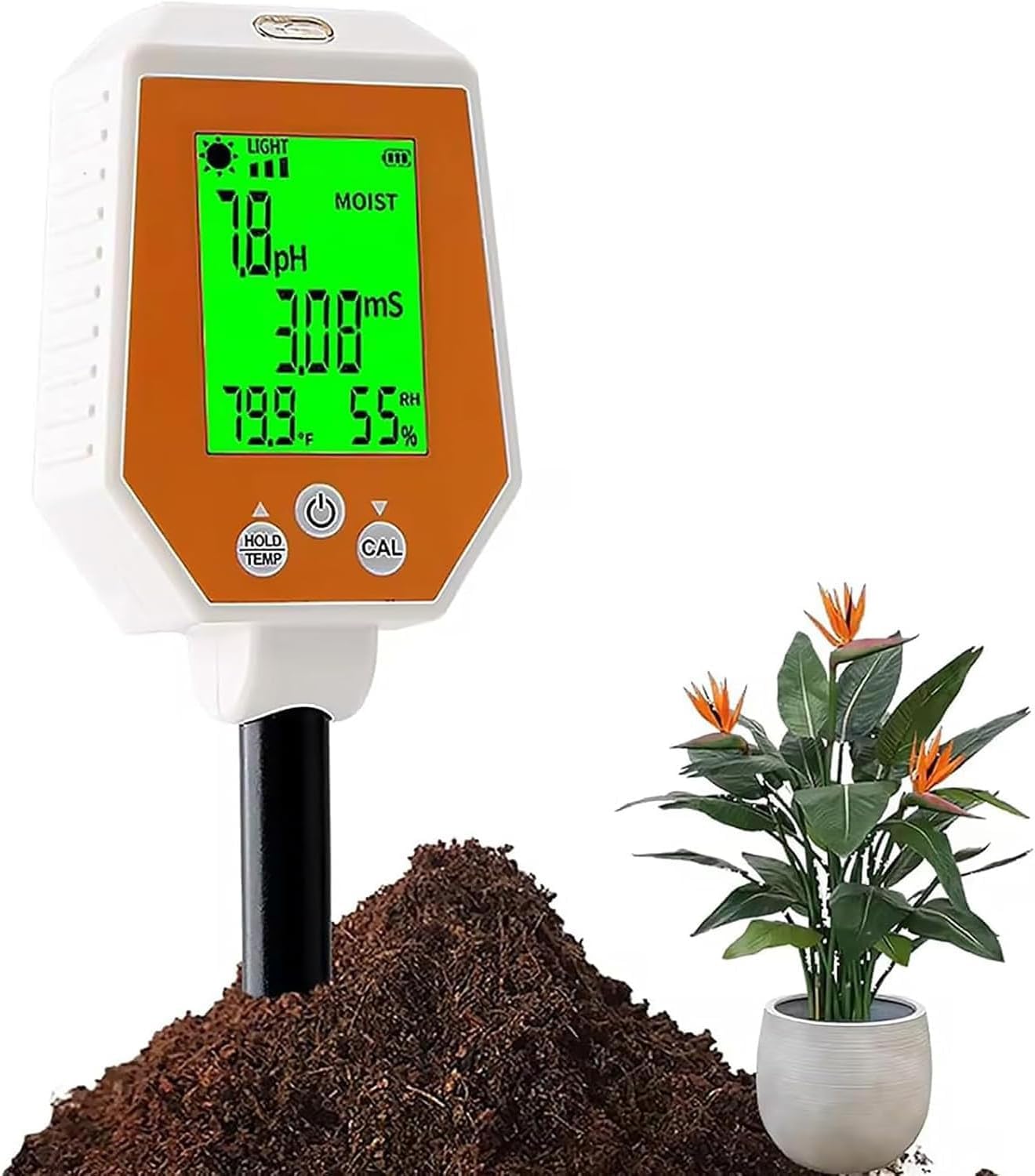 Mesure d'humidité du sol pour grand pot et jardinage de fleurs réussi