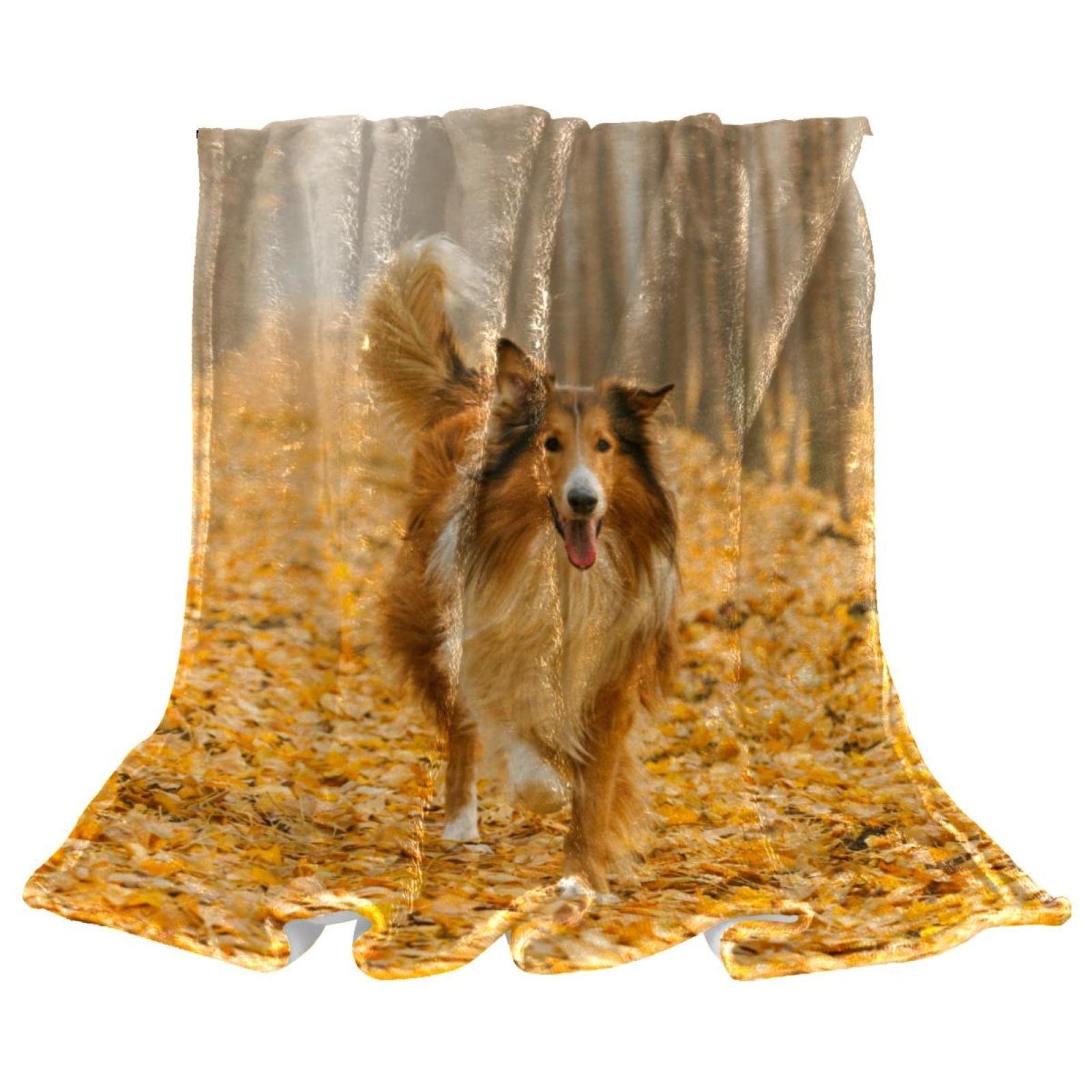 Couverture polaire literie Rough Collie avec motif chien de haute qualité