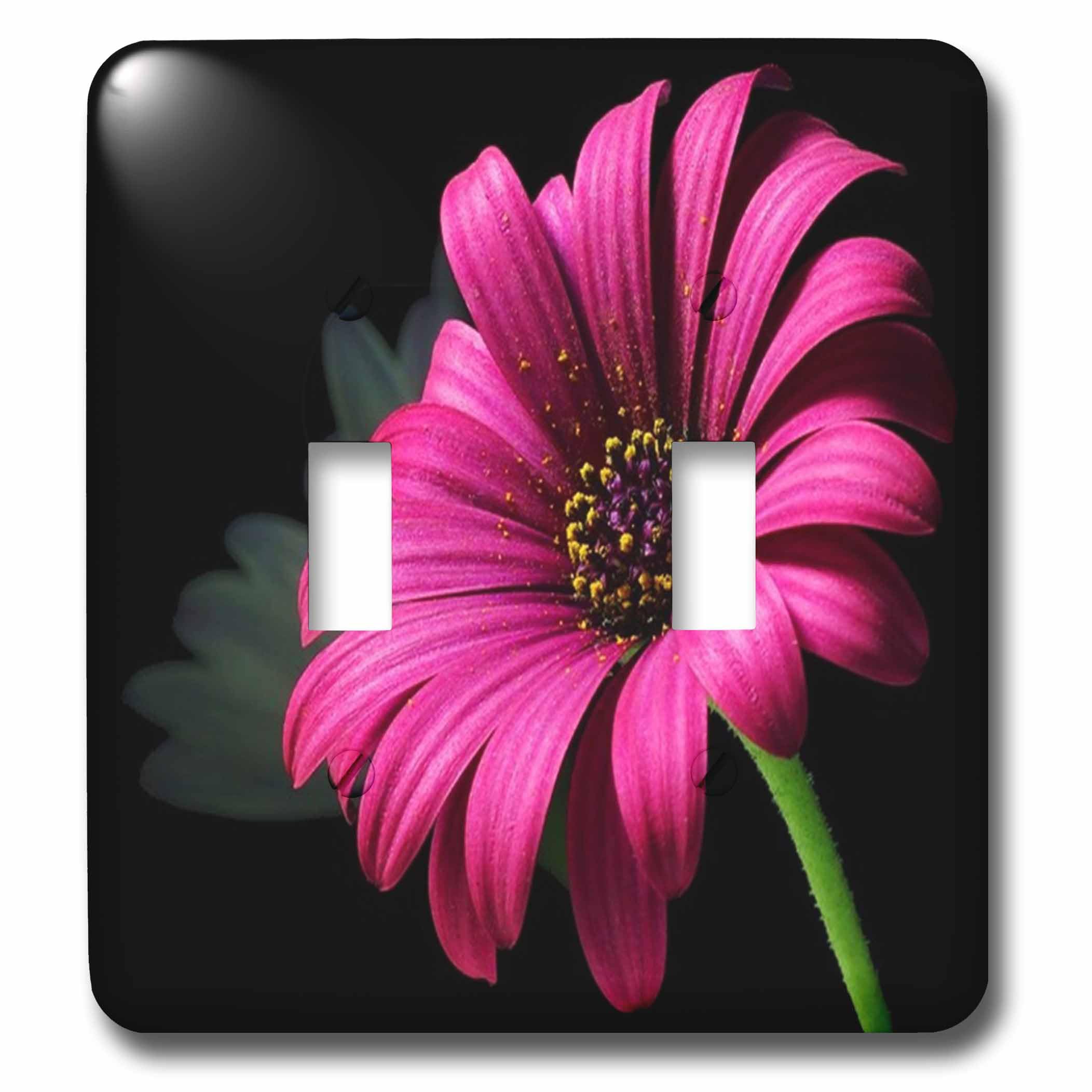 Interrupteur double marguerite rose pour remplacer une plaque murale terne