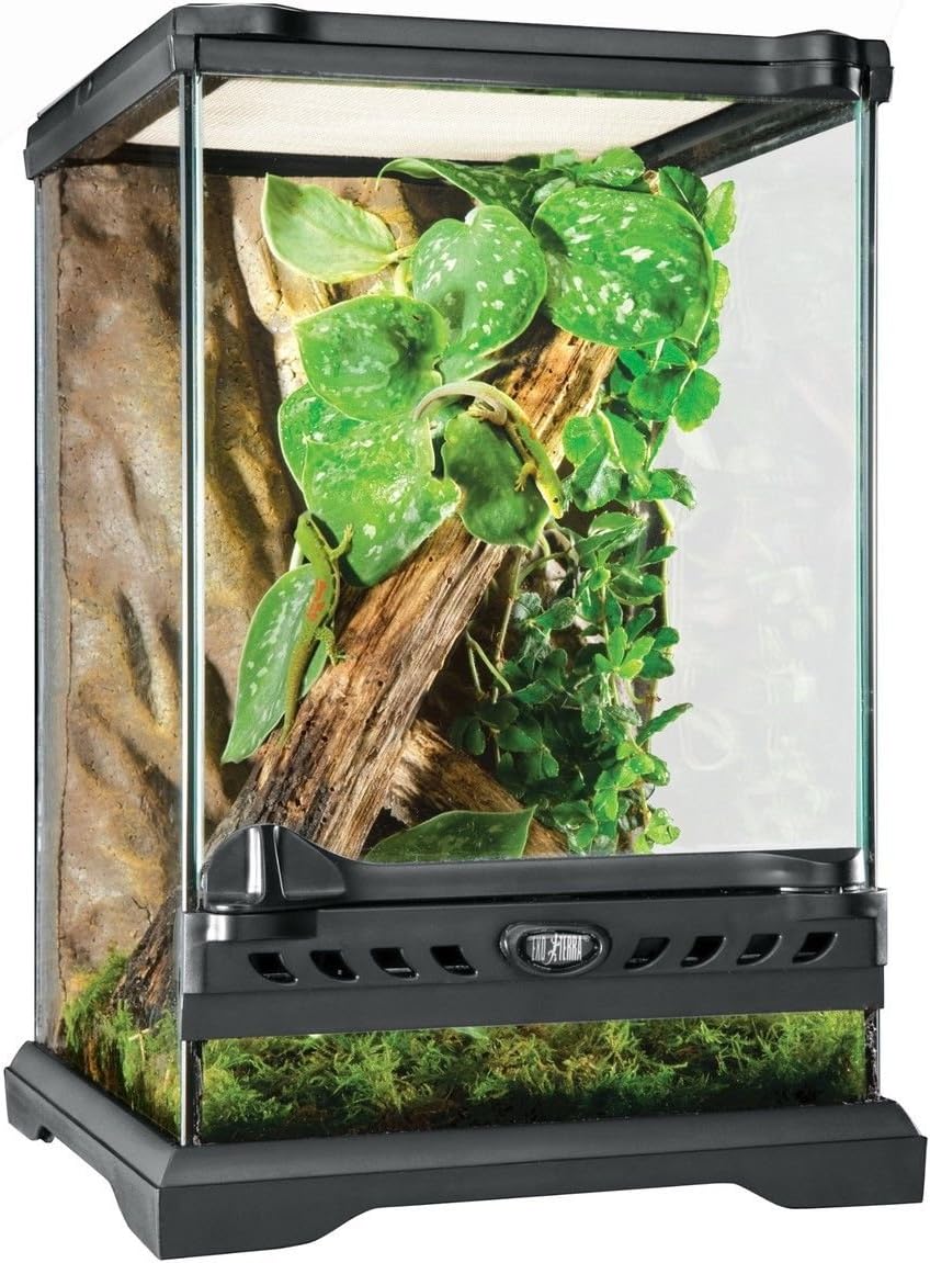 NEW! Exo-Terra Terrarium Nano Reptile Tank Tall 8" x 8" x 12" PT-2601