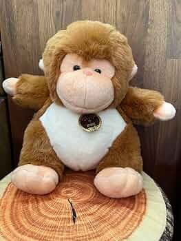 71DdXJPWn5L._AC_UF350, 71DdXJPWn5L._AC_UF350,