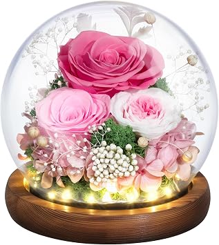 Emibele Gifts for Mom Flowers for Delivery, Birthday Gifts for Women | Preserved Real Rose in Glass Dome with LED Light, Mothers Day Anniversary Valentines Day Gifts for Wife friend Her, Pink