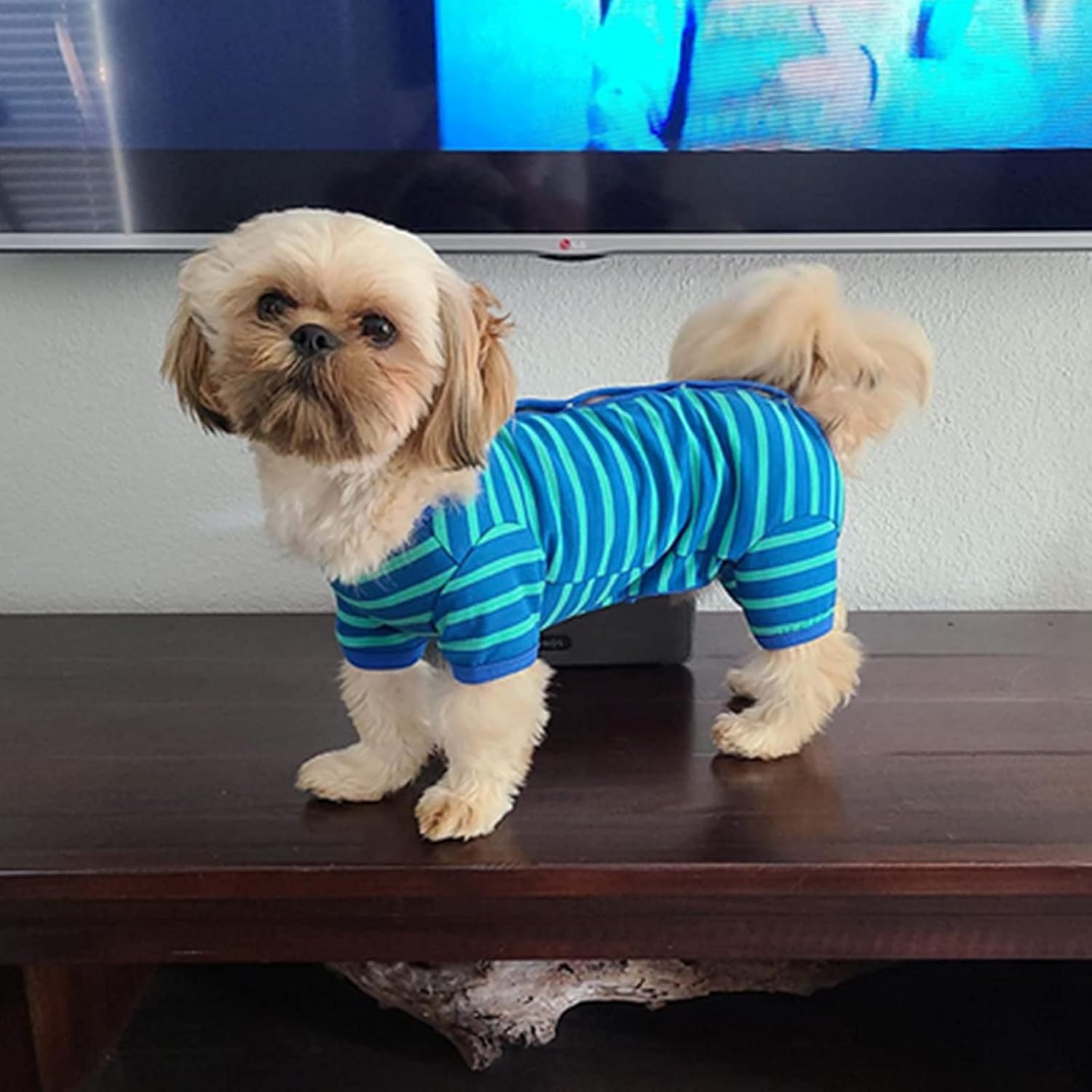 4 legged dog sweater