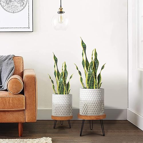 Miniatura 8 de Athaliah Soporte de madera para plantas, mini soporte de elevación media, 2 unidades de taburete de madera para plantas de interior (marrón)