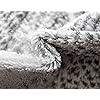Product Photo 8