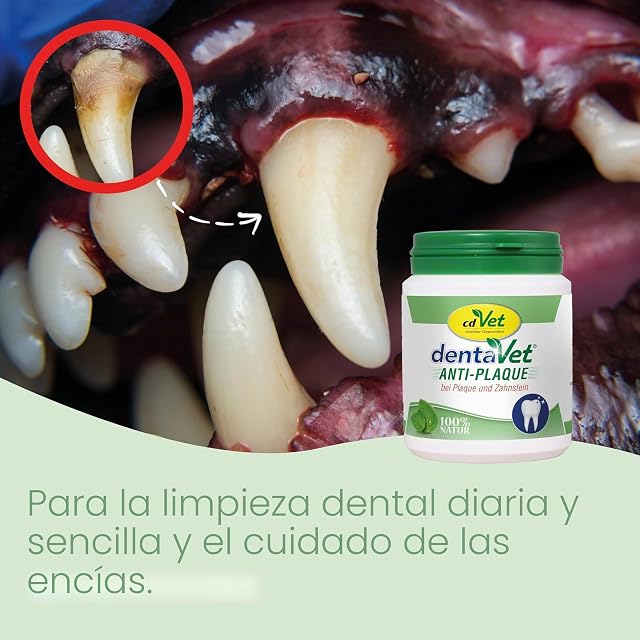 Foto 7 de 8 de dentaVet Polvo antiplaca para Perros y Gatos - Cuidado Dental Natural, 150 g