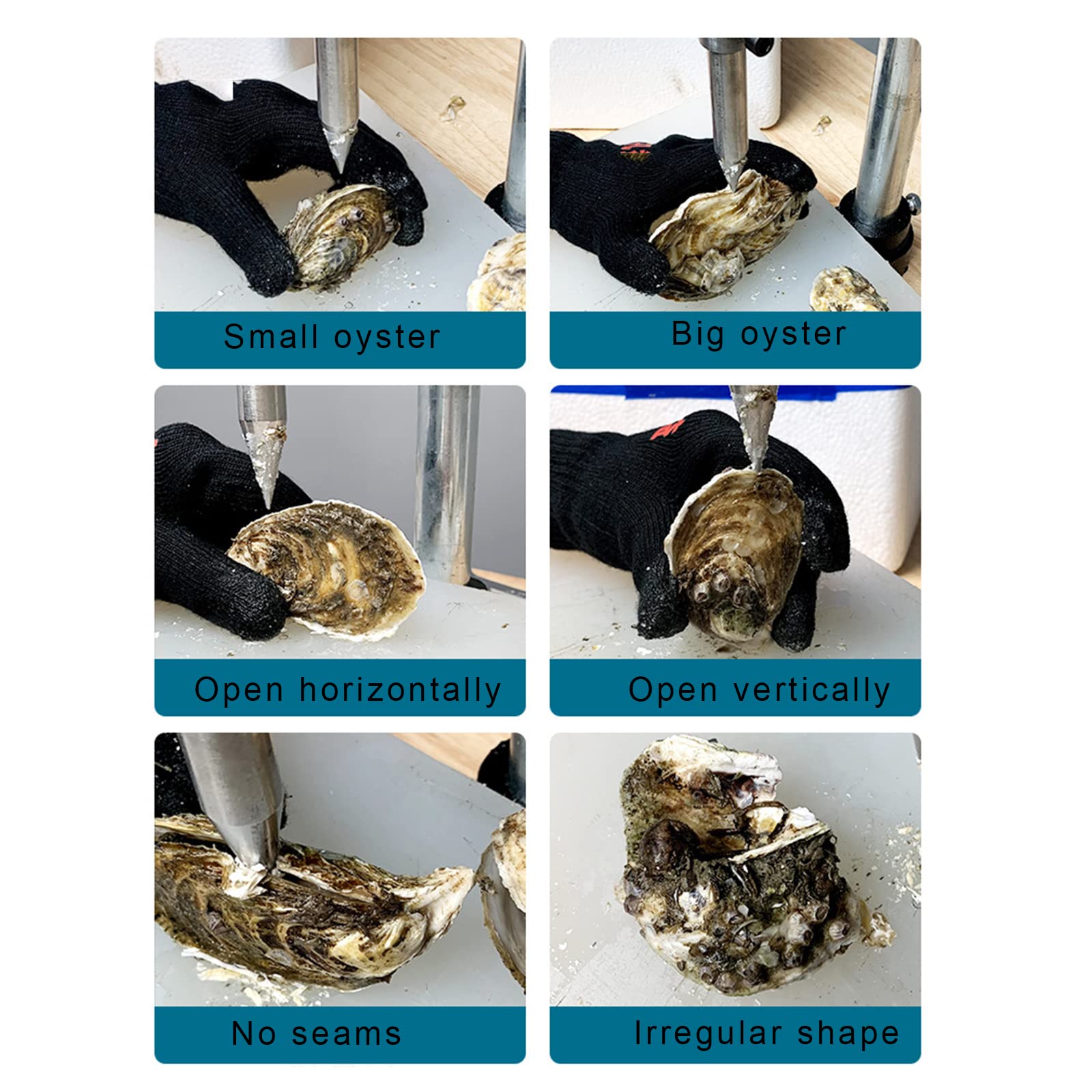 Abridor de ostras -2