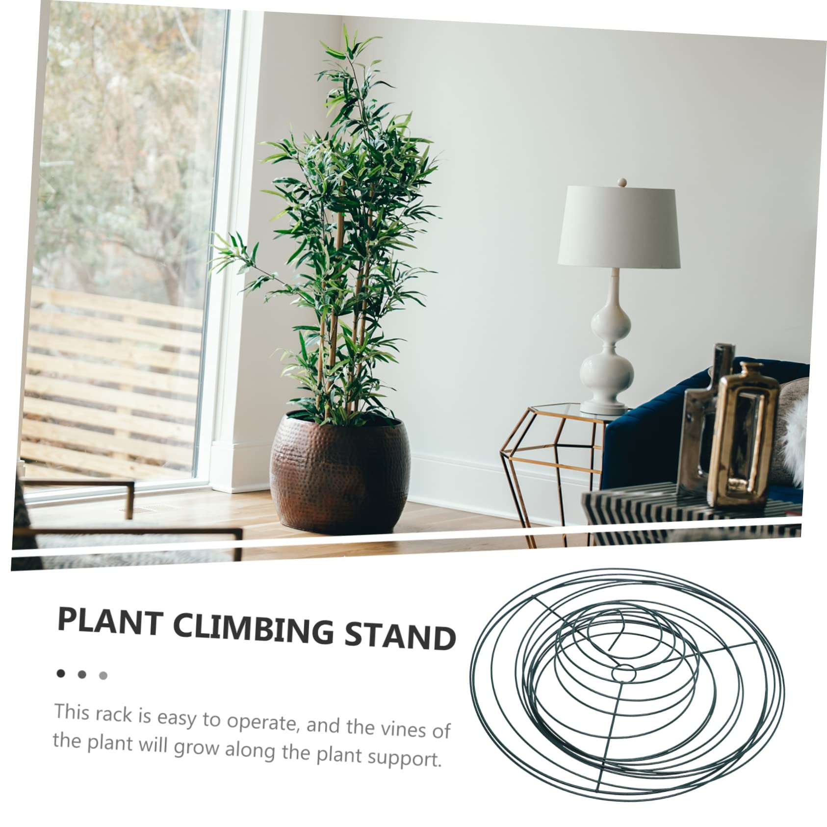Supports de Plantes Spiralés 2 Pièces en Acier Inoxydable pour Jardin