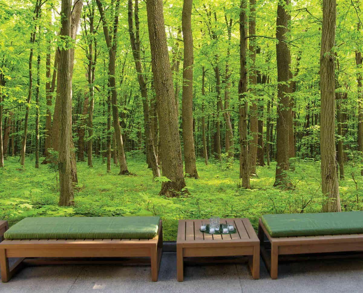 Papier peint panoramique forêt verte intissé 3D trompe l'oeil