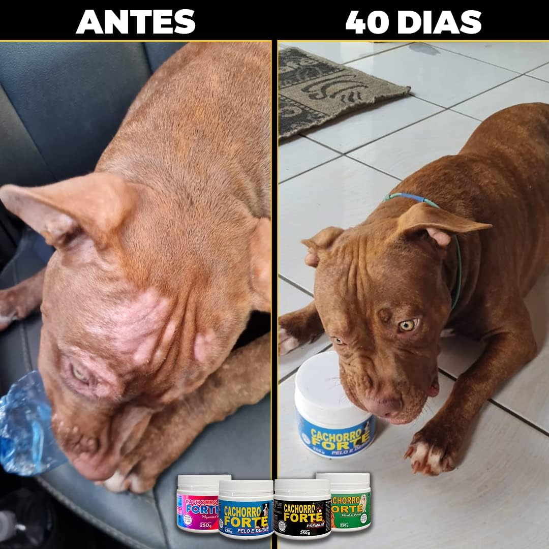 Suplemento Cachorro Forte Vovô e Vovó 250g | Fortalece Ossos, Articulações e Imunidade Canina | Reduz Queda de Pelos, Melhora Digestão e Aumenta a Energia | Desenvolvidos por Veterinários | VeterinUp Suplemento Cachorro Forte Vovô e Vovó 250g | Fortalece Ossos, Articulações e Imunidade Canina | Reduz Queda de Pelos, Melhora Digestão e Aumenta a Energia | Desenvolvidos por Veterinários | VeterinUp