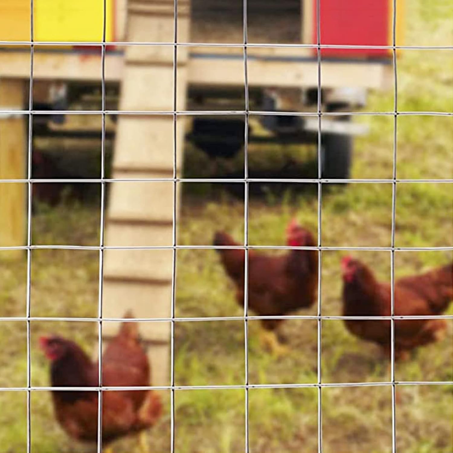 Yesyzx Fence Chicken Wire Fencing Metal Poultry Netting